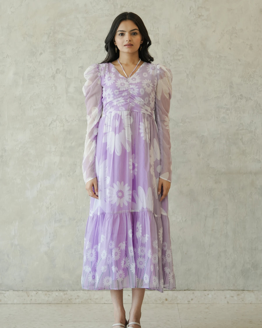 Lavender Daisy Dreams