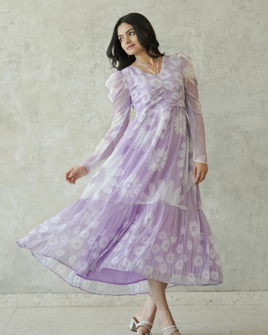 Lavender Daisy Dreams