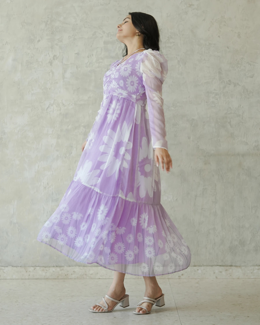 Lavender Daisy Dreams