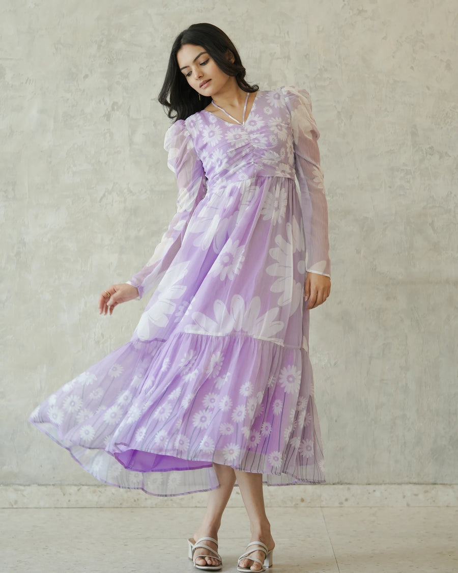 Lavender Daisy Dreams